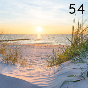 Motiv: Küstengras in Abendsonne