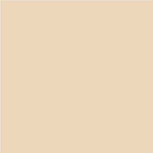 HSK Renodeco Dekor Crema Beige HSK Renodeco Dekor Crema Beige